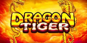 VC77 Dragon Tiger - Tips to help you maximize your winnings